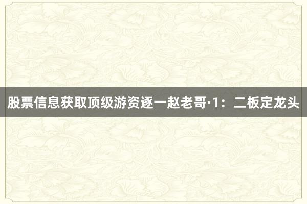 股票信息获取顶级游资逐一赵老哥·1：二板定龙头