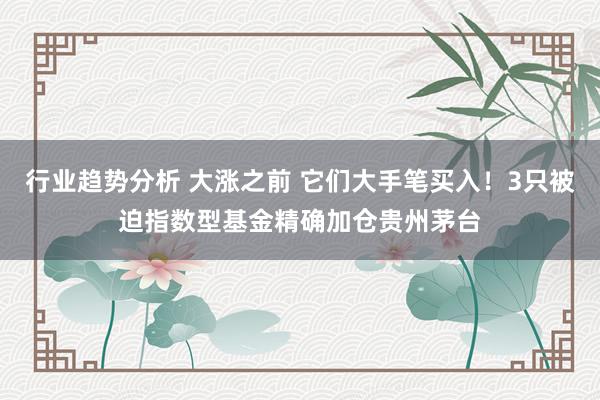 行业趋势分析 大涨之前 它们大手笔买入！3只被迫指数型基金精确加仓贵州茅台