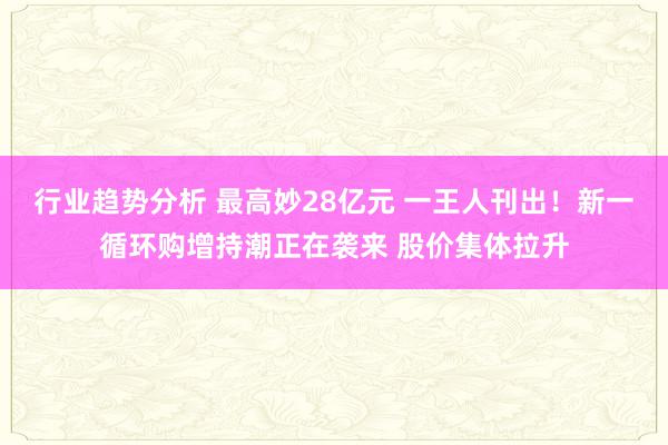 行业趋势分析 最高妙28亿元 一王人刊出！新一循环购增持潮正在袭来 股价集体拉升