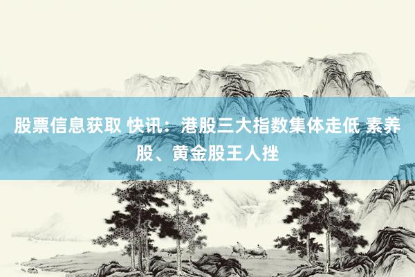 股票信息获取 快讯：港股三大指数集体走低 素养股、黄金股王人挫