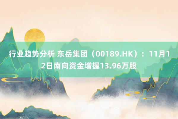 行业趋势分析 东岳集团（00189.HK）：11月12日南向资金增握13.96万股