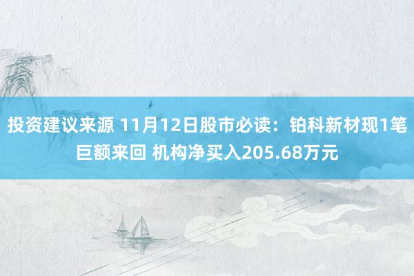 投资建议来源 11月12日股市必读：铂科新材现1笔巨额来回 机构净买入205.68万元