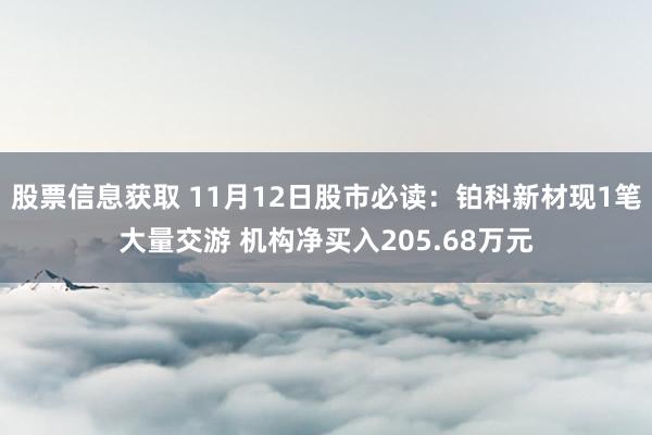 股票信息获取 11月12日股市必读：铂科新材现1笔大量交游 机构净买入205.68万元