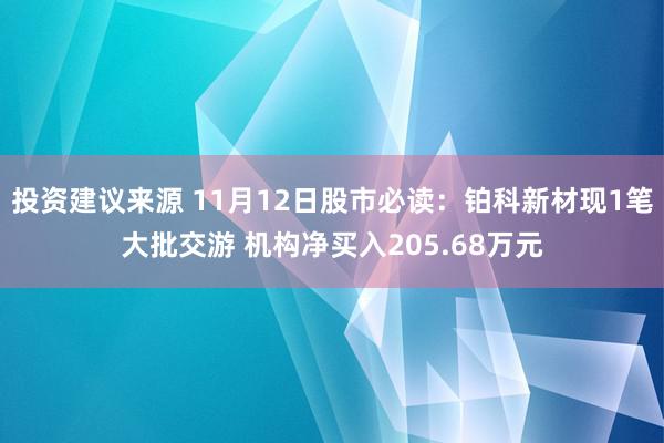 投资建议来源 11月12日股市必读：铂科新材现1笔大批交游 机构净买入205.68万元