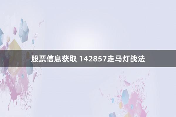 股票信息获取 142857走马灯战法