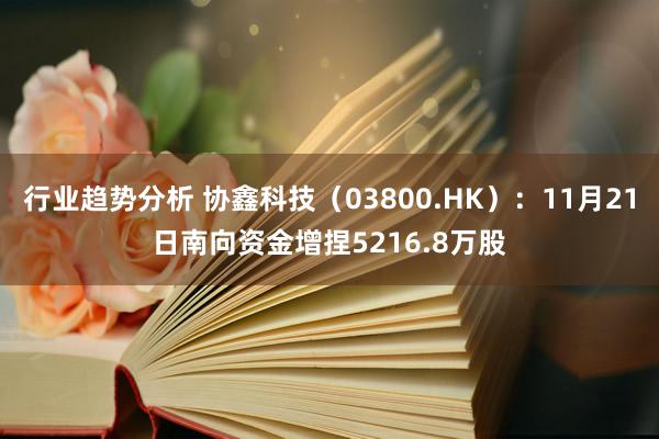 行业趋势分析 协鑫科技（03800.HK）：11月21日南向资金增捏5216.8万股