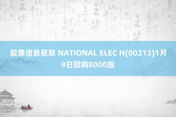 股票信息获取 NATIONAL ELEC H(00213)1月9日回购8000股