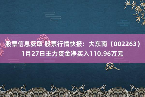 股票信息获取 股票行情快报：大东南（002263）1月27日主力资金净买入110.96万元